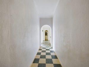 6774376_66098746.jpg