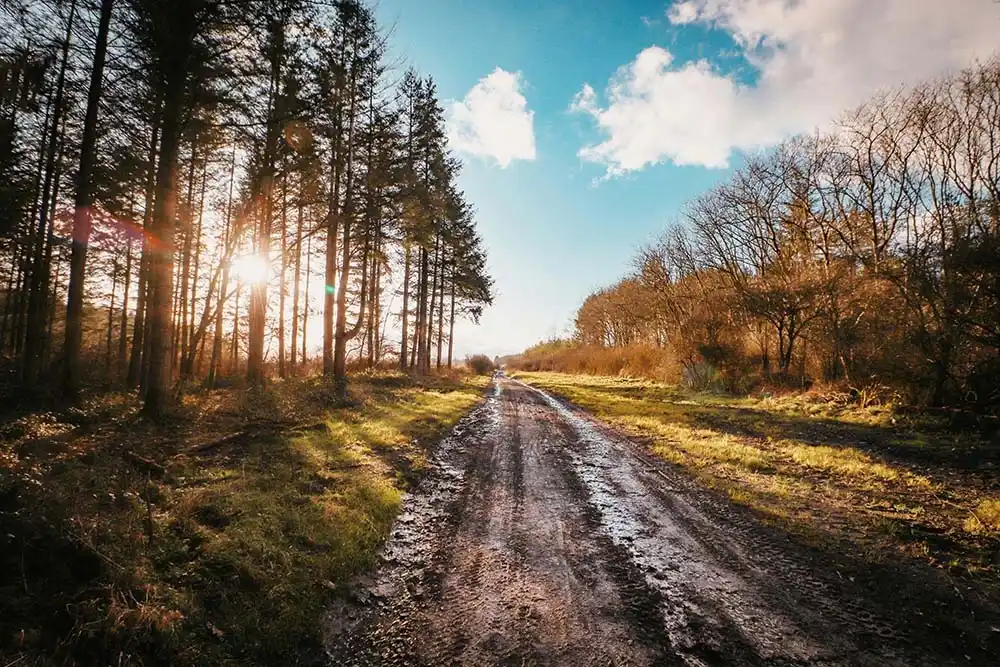 Vivre En Belgique À La Campagne
