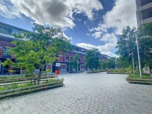 7082031_71248974.jpg