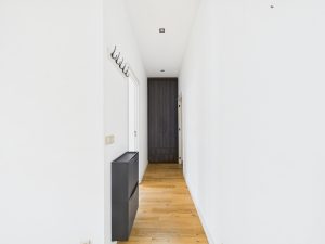 7190249_72533260.jpg