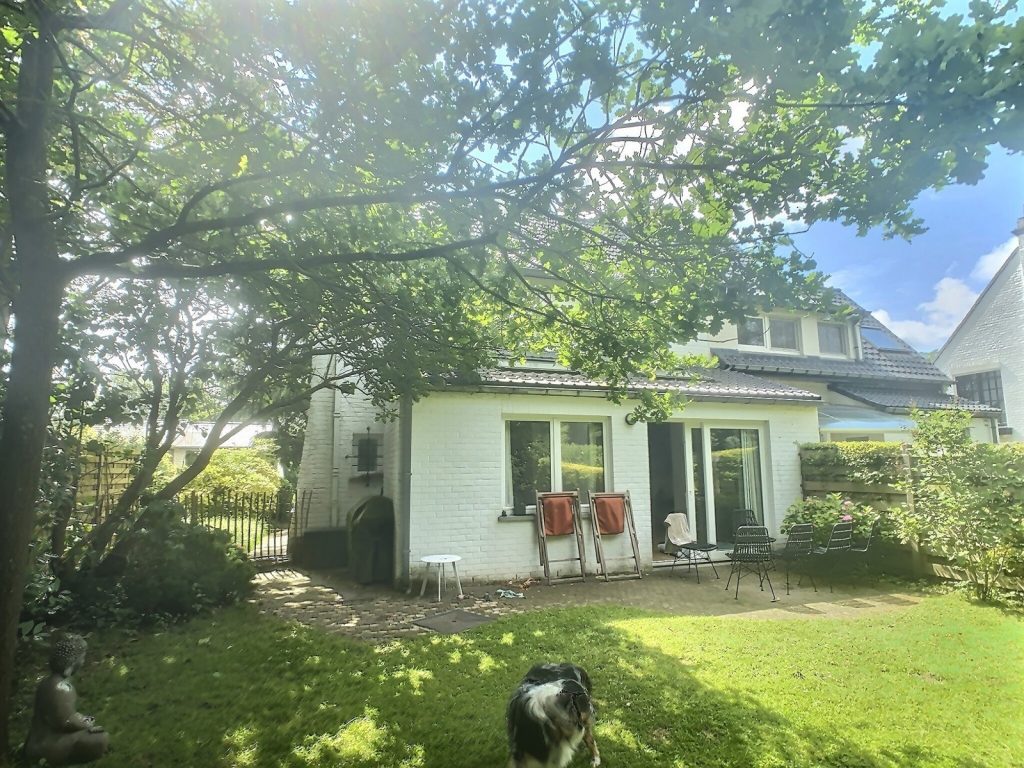 6113919 51870634 Maas 15 Realtycare