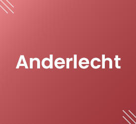 Vignette Anderlecht