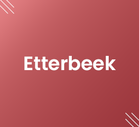 Vignette Etterbeek Les Prix De L'Immobilier En Région De Bruxelles-Capitale Realtycare