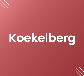 Vignette Koekelberg Les Prix De L'Immobilier En Région De Bruxelles-Capitale Realtycare