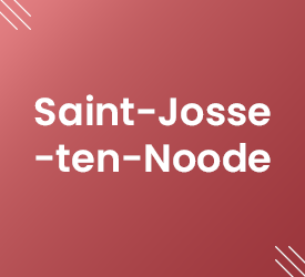 Vignette Saint Josse Les Prix De L'Immobilier En Région De Bruxelles-Capitale Realtycare