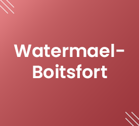 Vignette Watermael