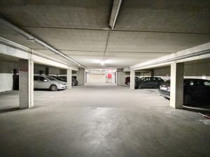 7712637_77901186.jpg