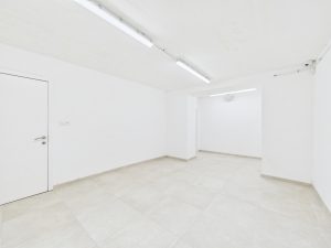 7748326_78548049.jpg