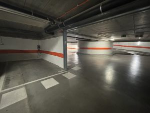 7780159_79170359.jpg