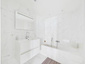 7865324_80477901.jpg